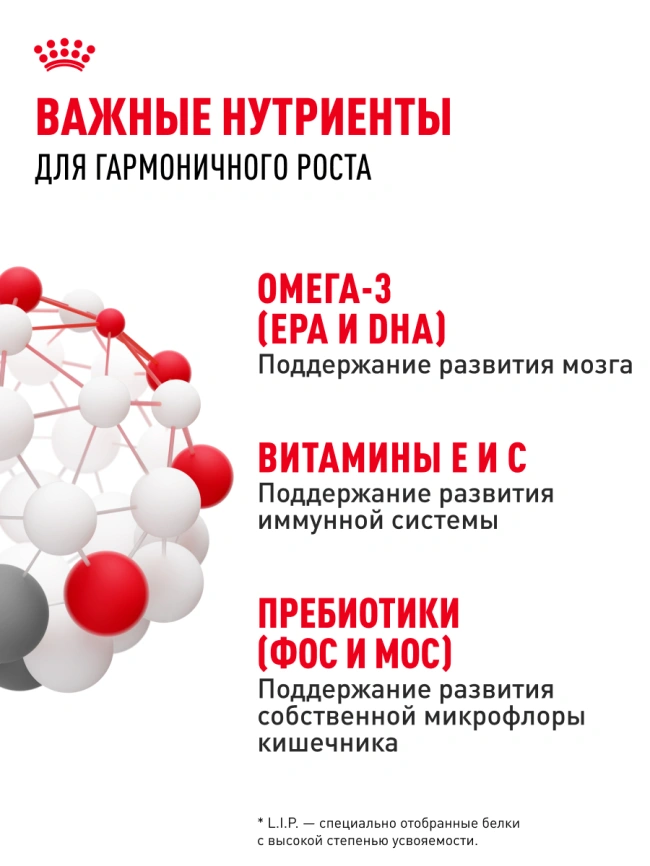 Влажный корм Royal Canin Mini Puppy в соусе для щенков мелких пород до 10 месяцев, пауч, 85 г фото 5
