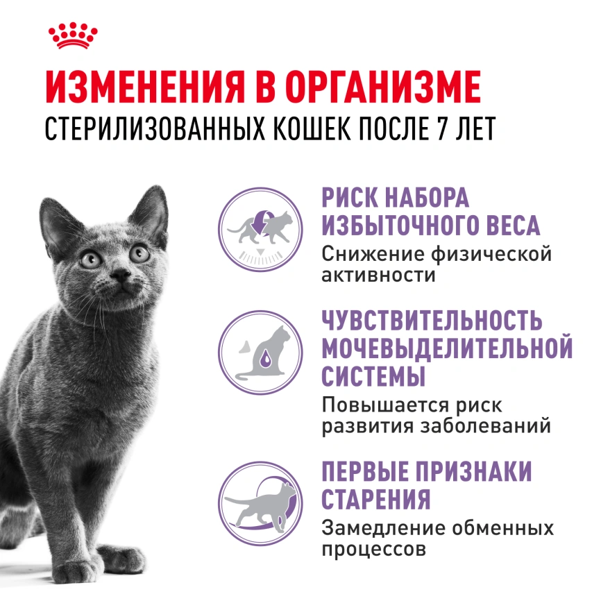 Сухой корм Royal Canin Sterilised 7+ для стерилизованных кошек и кастрированных котов, 3.5 кг фото 2