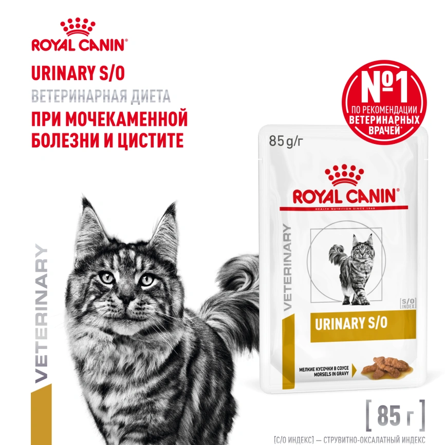 Влажный корм Royal Canin Urinary S/O в соусе для кошек при мочекаменной болезни, пауч, 85 г фото 1