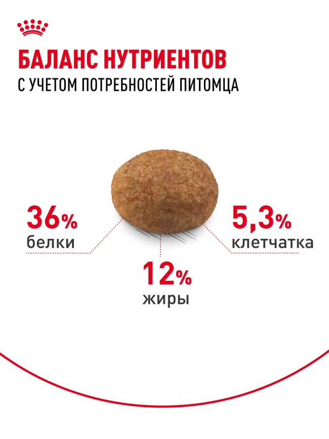 Сухой корм Royal Canin Sterilised 7+ для стерилизованных кошек и кастрированных котов, 1.5 кг фото 17