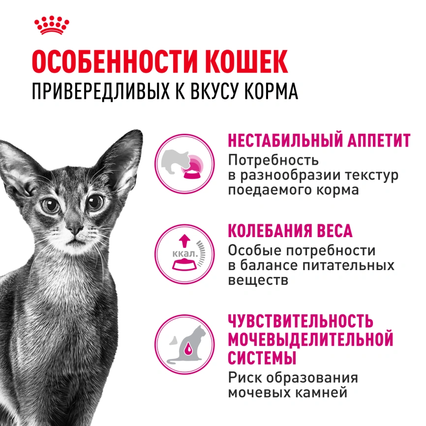 Сухой корм Royal Canin Savour Exigent для кошек, 2 кг фото 2
