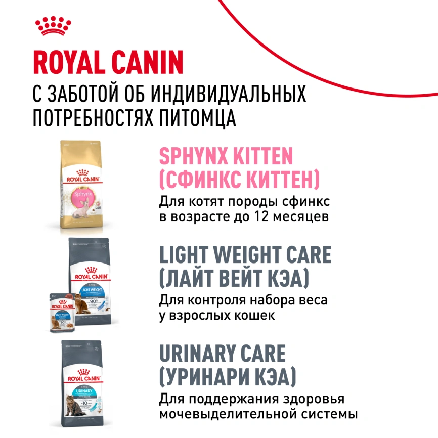 Сухой корм Royal Canin Sphynx для кошек породы сфинкс, 10 кг фото 10