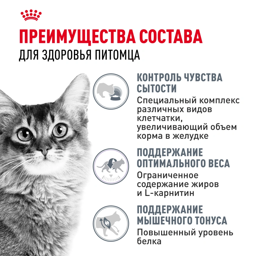Сухой корм Royal Canin Light Weight Care для кошек, 400 г фото 3