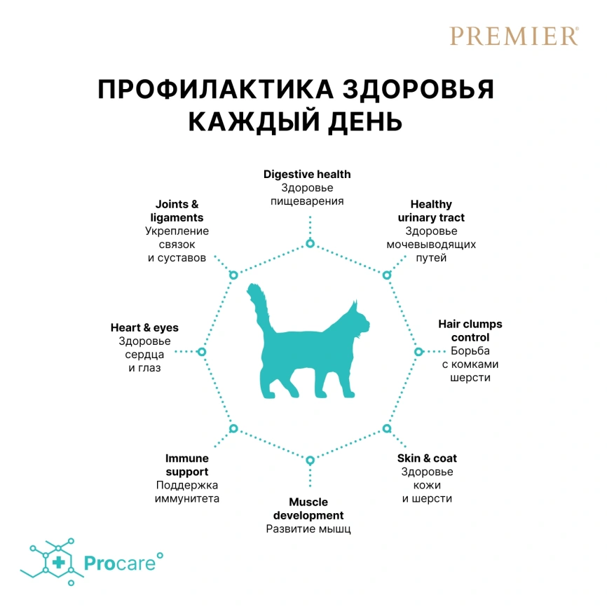 Сухой корм Premier Cat Lamb & Turkey Adult Large для взрослых кошек крупных пород, 2 кг фото 4