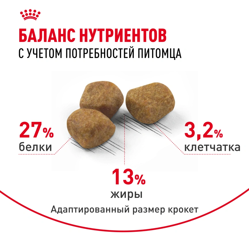 Сухой корм Royal Canin Indoor 7+ для кошек, 1,5 кг фото 7