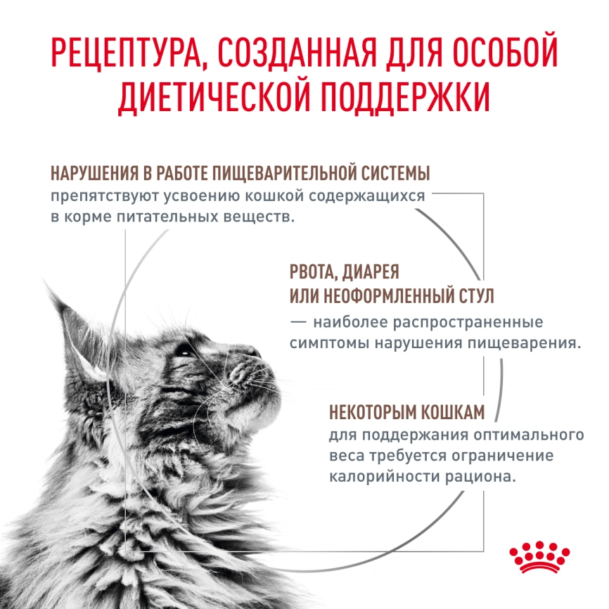 Сухой корм Royal Canin Gastrointestinal Moderate Calorie для кошек, 350 г фото 4