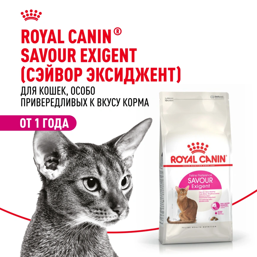 Сухой корм Royal Canin Savour Exigent для кошек, 400 г фото 13