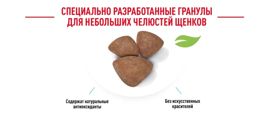 Сухой корм Royal Canin X-Small Puppy для щенков, 500 г фото 18