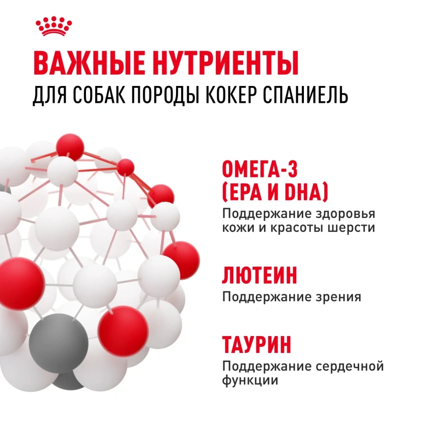 Сухой корм Royal Canin Cocker Adult для собак породы кокер-спаниель, 3 кг фото 4