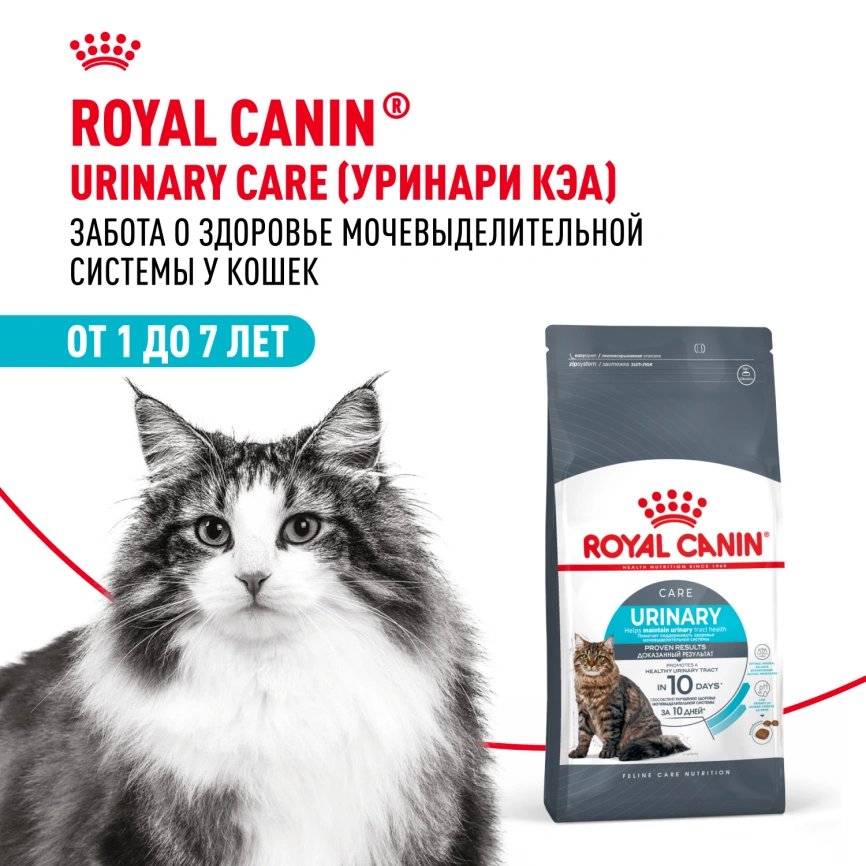Сухой корм Royal Canin Urinary Care для кошек для профилактика мочекаменной болезни, 400 г фото 13