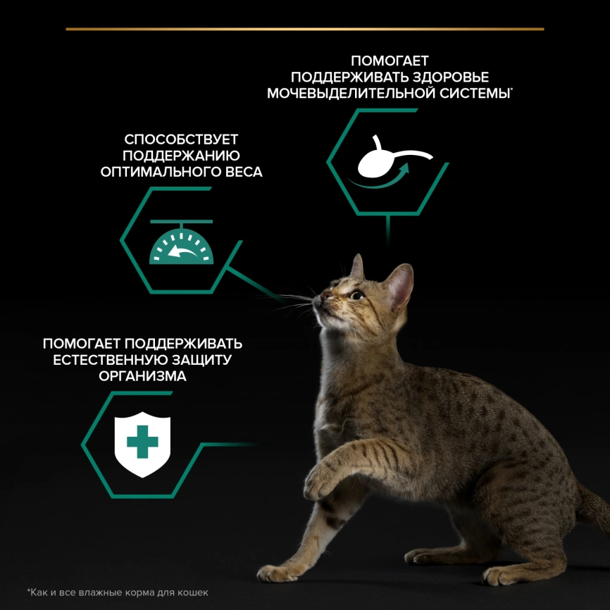 Влажный корм Purina Pro Plan Cat Adult NutriSavour Sterilised для стерилизованных кошек, с говядиной в соусе, 85 г фото 2