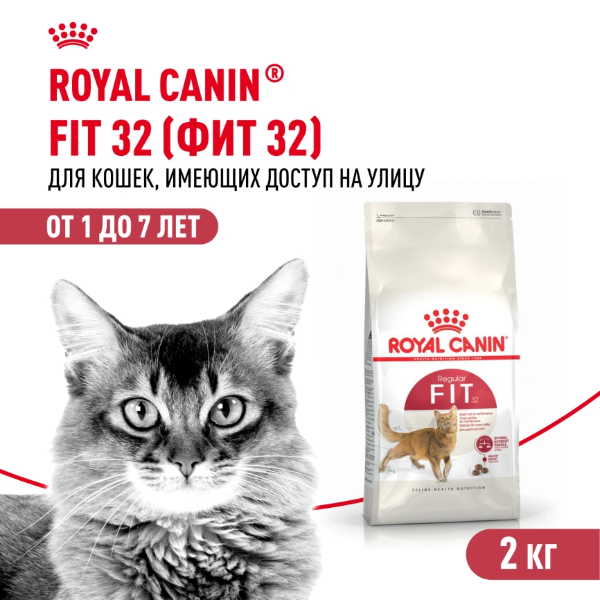 Сухой корм Royal Canin Fit для кошек, 2 кг фото 1
