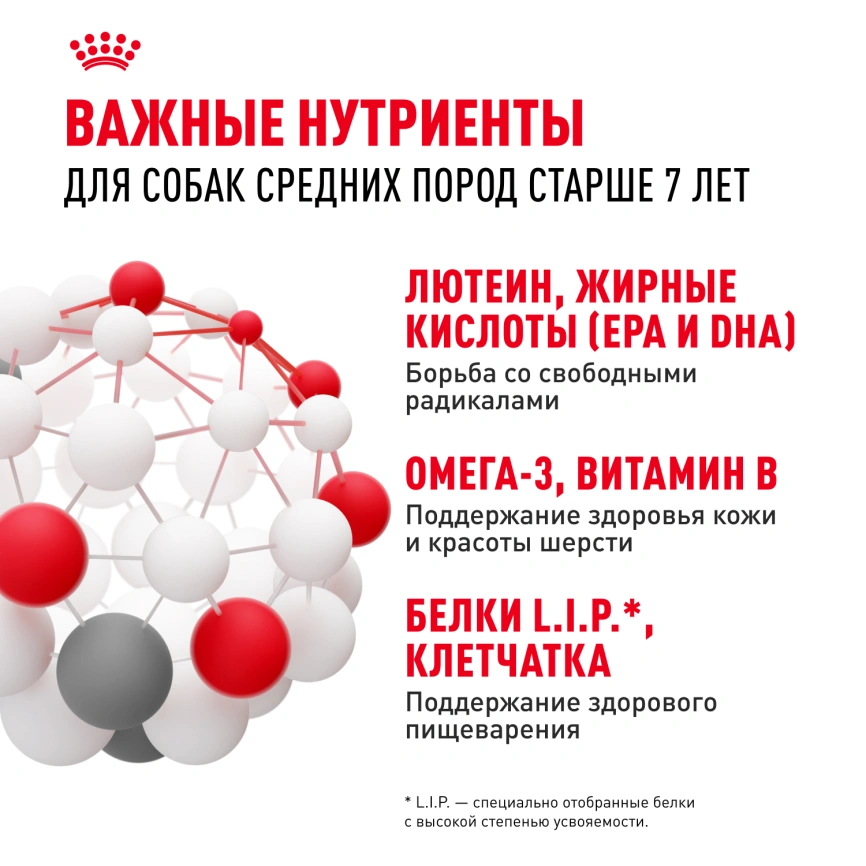 Сухой корм Royal Canin Medium Adult 7+ для собак, 4 кг фото 5