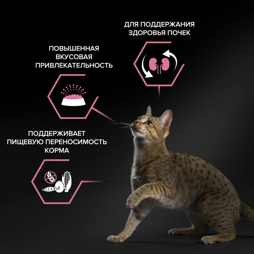 Сухой корм Purina Pro Plan Delicate для взрослых кошек с чувствительным пищеварением, с индейкой, 10 кг фото 2