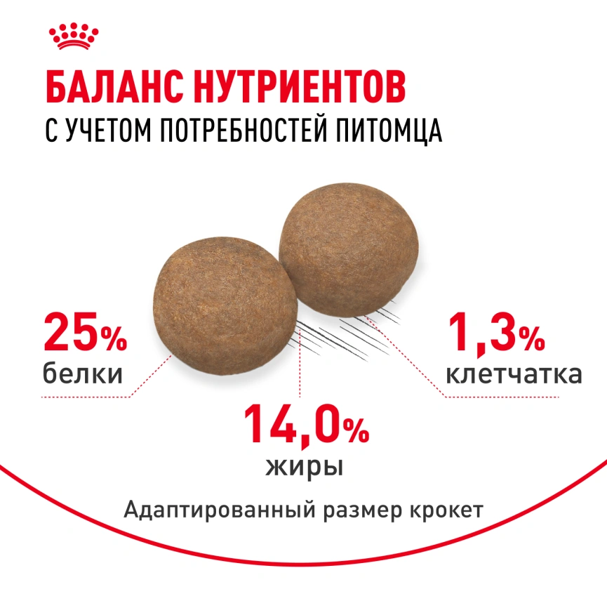 Сухой корм Royal Canin Medium Adult для собак, 15 кг фото 4