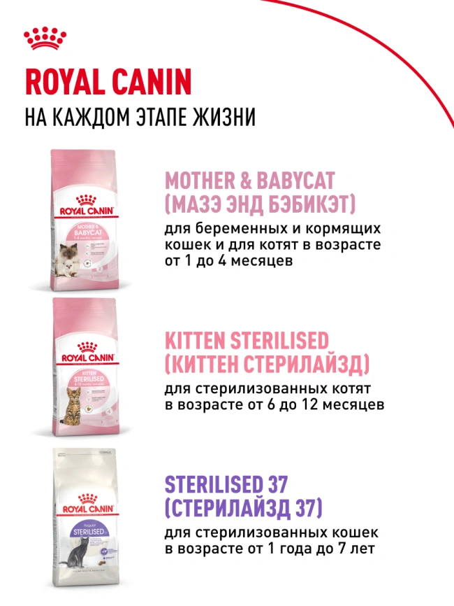 Сухой корм Royal Canin Kitten для котят, 1.2 кг фото 15