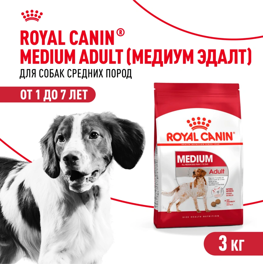 Сухой корм Royal Canin Medium Adult для собак, 3 кг фото 1