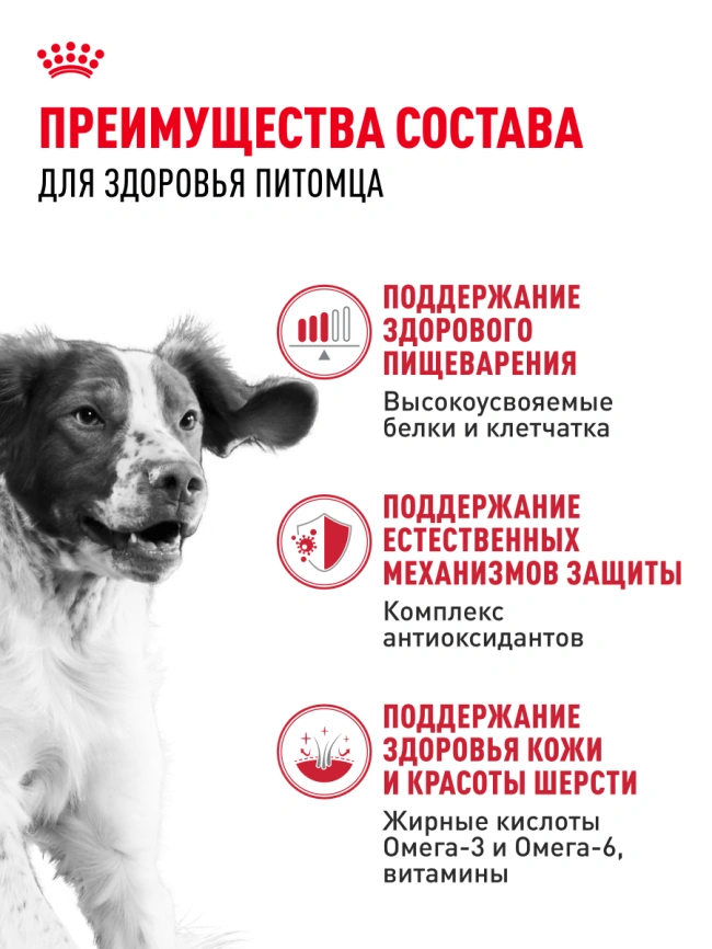 Сухой корм Royal Canin Medium Adult для собак, 3 кг фото 15