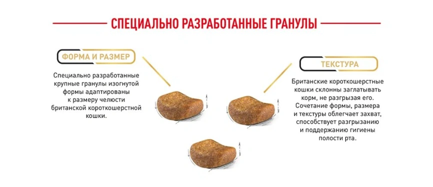 Сухой корм Royal Canin British Shorthair для кошек породы британская короткошерстная, 4 кг фото 20