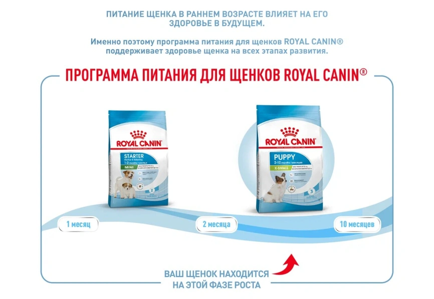 Сухой корм Royal Canin X-Small Puppy для щенков, 1.5 кг фото 11