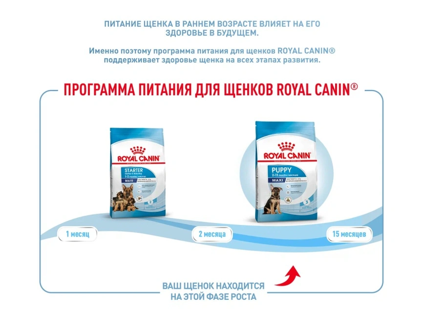 Сухой корм Royal Canin Maxi Puppy для щенков, 3 кг фото 15