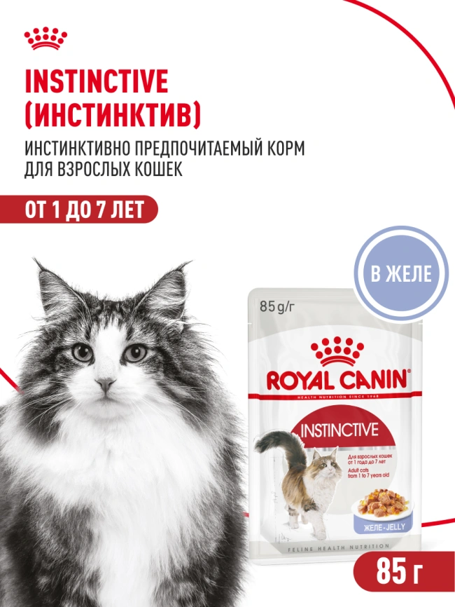 Влажный корм Royal Canin Instinctive в желе для взрослых кошек старше 1 года, пауч, 85 г фото 17