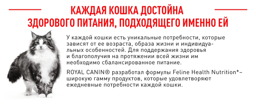 Сухой корм Royal Canin Sterilised для кастрированных котов и стерилизованных кошек, 400 г фото 3