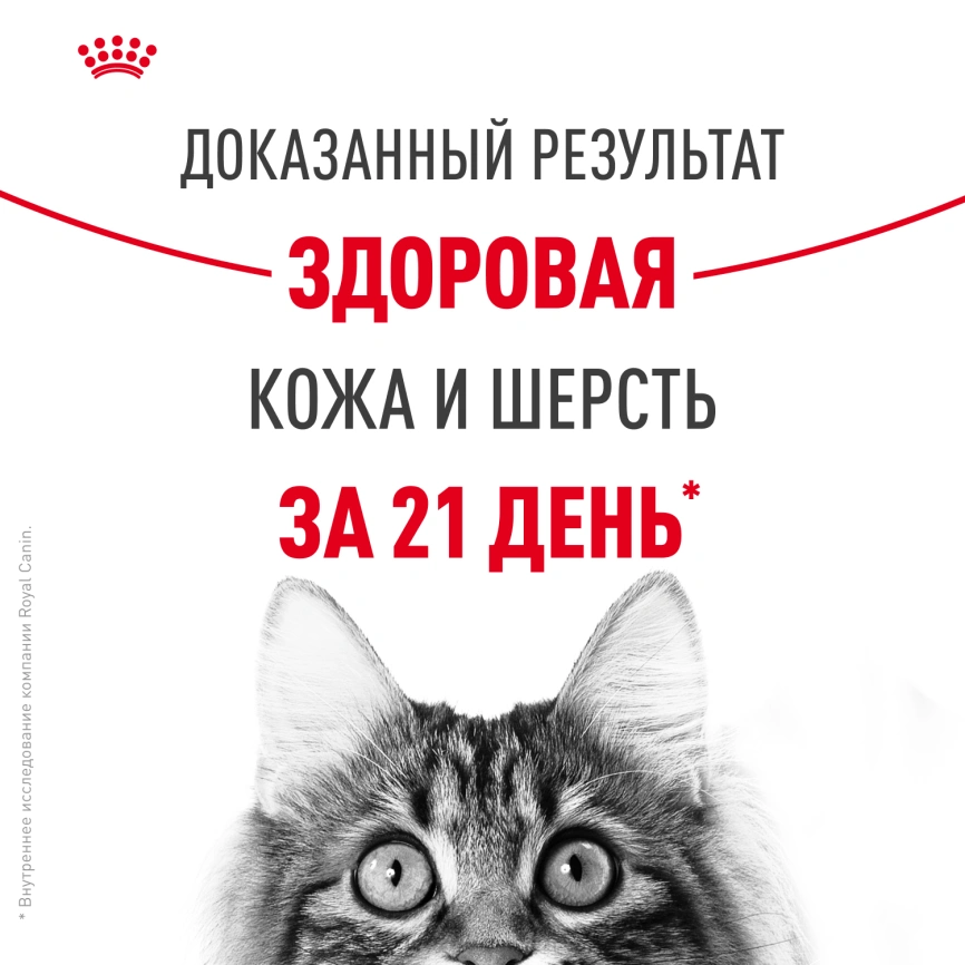 Сухой корм Royal Canin Hair & Skin Care для кошек, 400 г фото 11