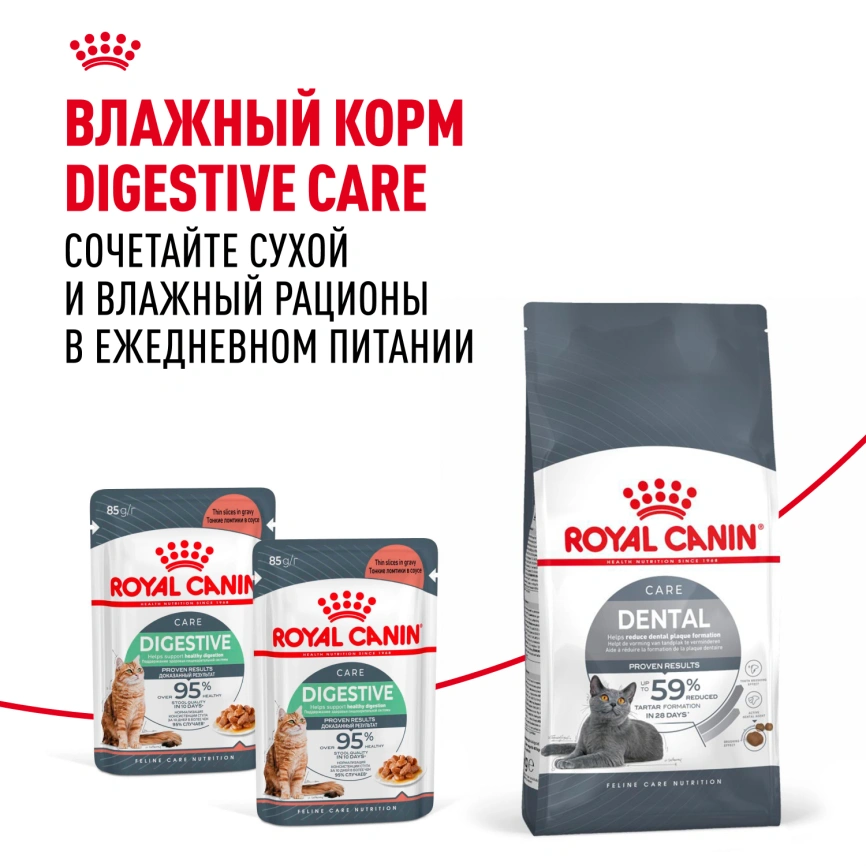 Сухой корм Royal Canin Dental Care для кошек, 1.5 кг фото 8