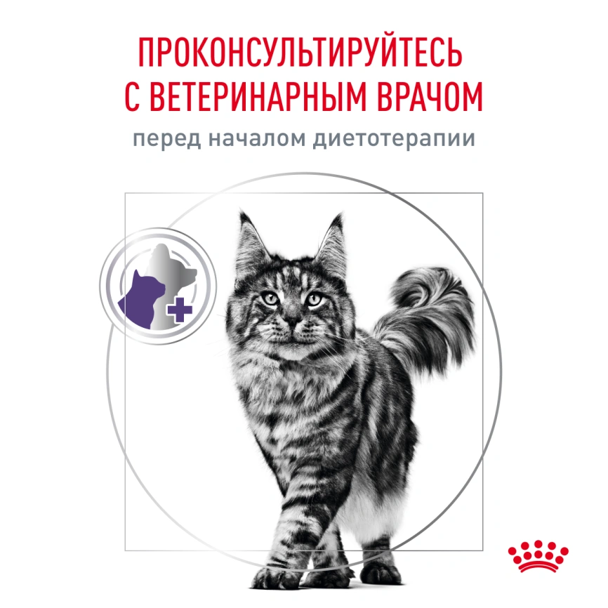 Сухой корм Royal Canin Neutered Satiety Balance для кастрированных котов и стерилизованных кошек до 7 лет, 8 кг фото 7