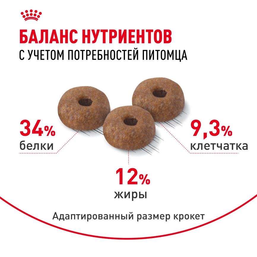 Сухой корм Royal Canin Appetite Control Care для кошек для контроля аппетита, 400 г фото 4