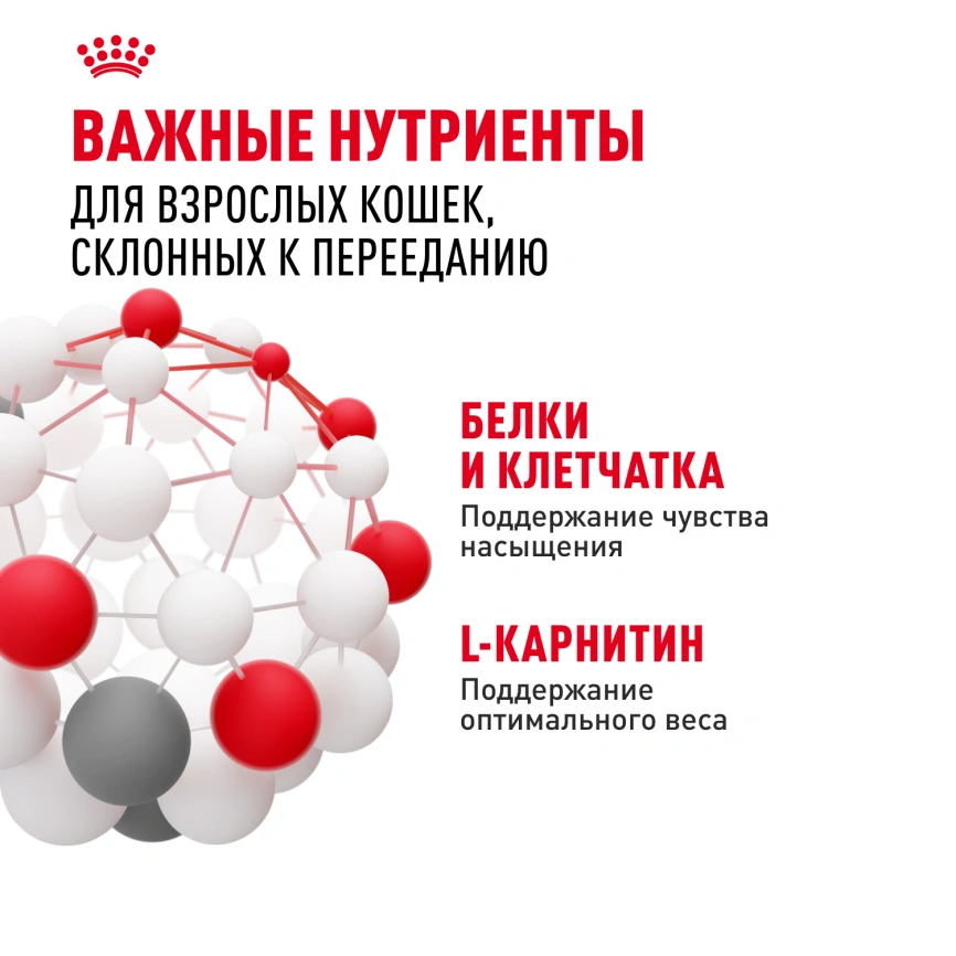 Влажный корм Royal Canin Appetite Control Care в желе для взрослых кошек, для контроля выпрашивания корма, пауч, 85 г фото 5