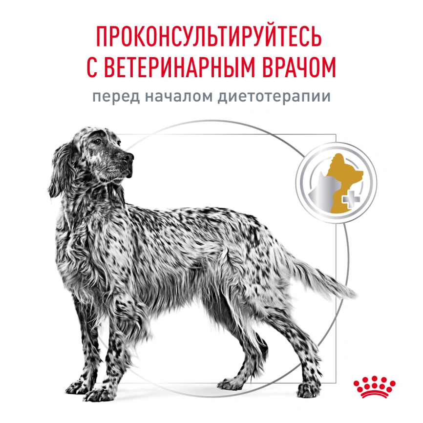 Сухой корм Royal Canin Urinary S/O для собак при мочекаменной болезни и цистите, 2 кг фото 8