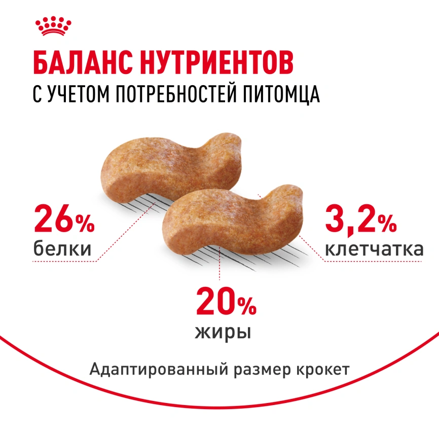 Сухой корм Royal Canin Boxer Adult для собак породы боксер, 12 кг фото 4
