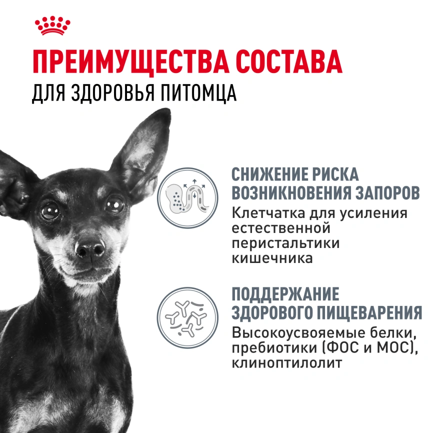 Сухой корм Royal Canin Mini Digestive Care для собак, 3 кг фото 3