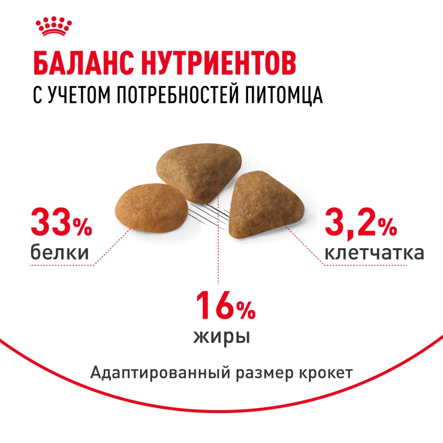 Сухой корм Royal Canin Savour Exigent для кошек, 4 кг фото 4