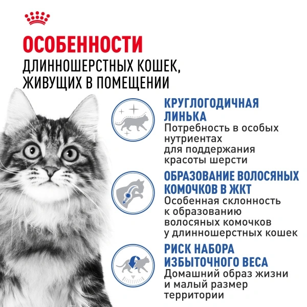 Сухой корм Royal Canin Indoor Long Hair для кошек, 400 г фото 3