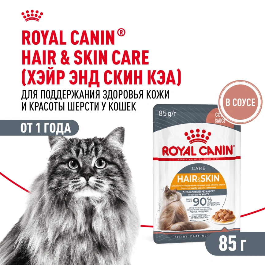 Влажный корм Royal Canin Hair &amp; Skin Care в соусе для взрослых кошек старше 1 года, пауч, 85 г фото 1
