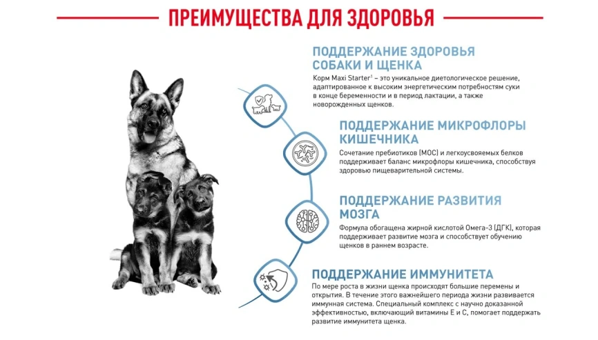 Сухой корм Royal Canin Maxi Starter Mother &amp; Babydog для собак, 4 кг фото 5