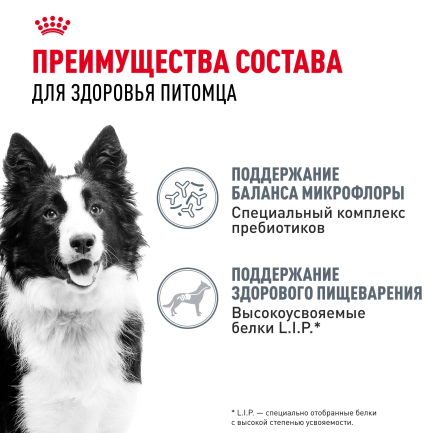 Сухой корм Royal Canin Medium Digestive Care для собак, 12 кг фото 3