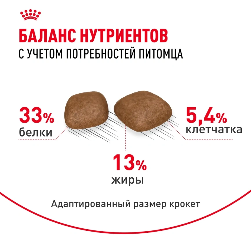 Сухой корм Royal Canin Urinary Care для поддержания здоровья мочевыделительной системы кошек, 4 кг фото 5