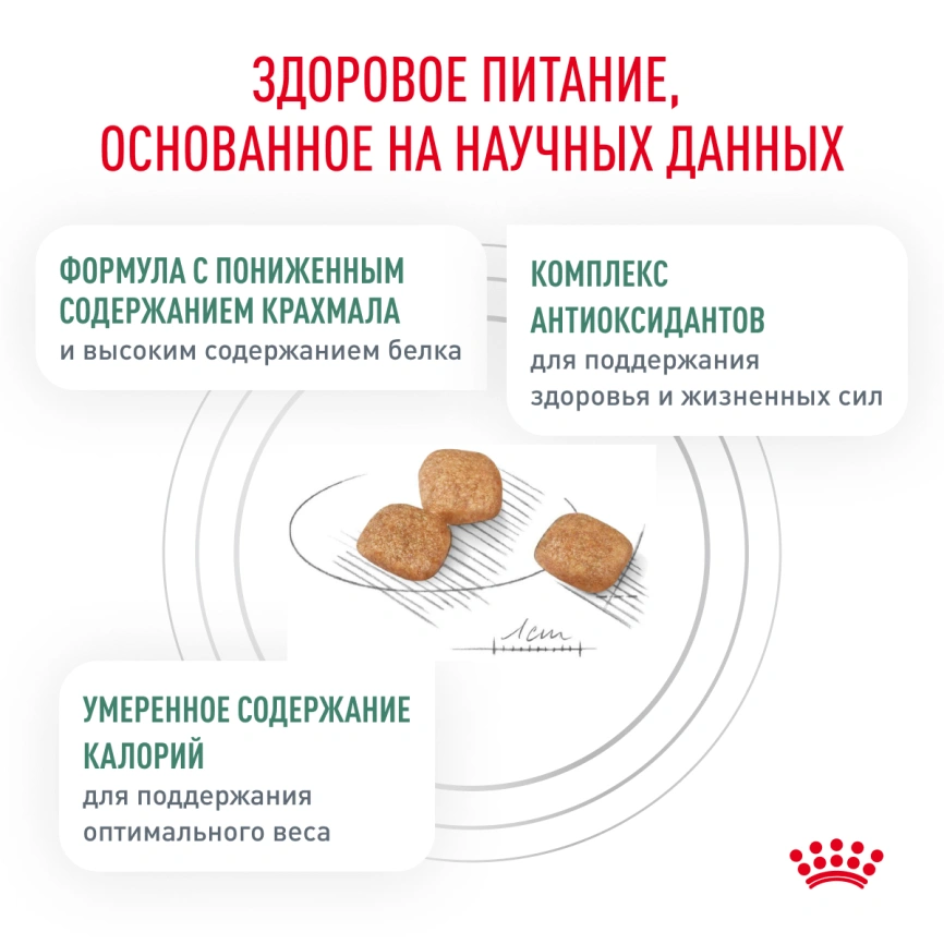 Сухой корм Royal Canin Diabetic для кошек, 350 г фото 10