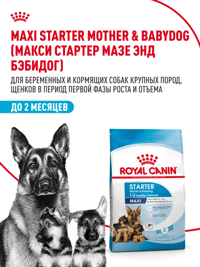 Сухой корм Royal Canin Maxi Starter Mother &amp; Babydog для собак, 4 кг фото 17