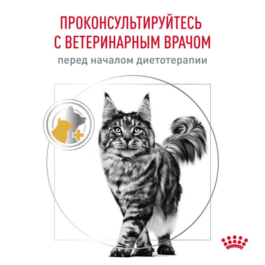 Сухой корм Royal Canin Urinary S/O для кошек при мочекаменной болезни, 3.5 кг фото 9