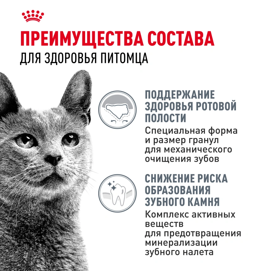 Сухой корм Royal Canin Dental Care для кошек, 1.5 кг фото 3