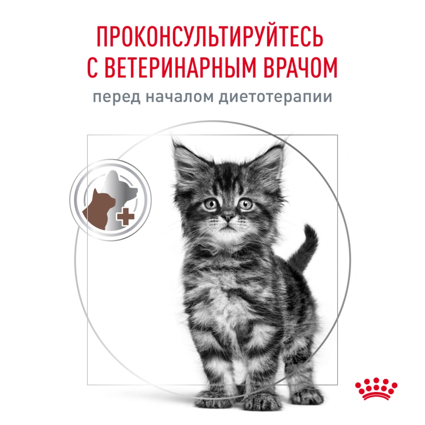 Сухой корм Royal Canin Gastrointestinal Kitten для котят, 350 г фото 7