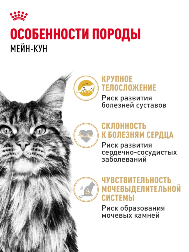 Сухой корм Royal Canin Maine Coon для кошек, 10 кг фото 23