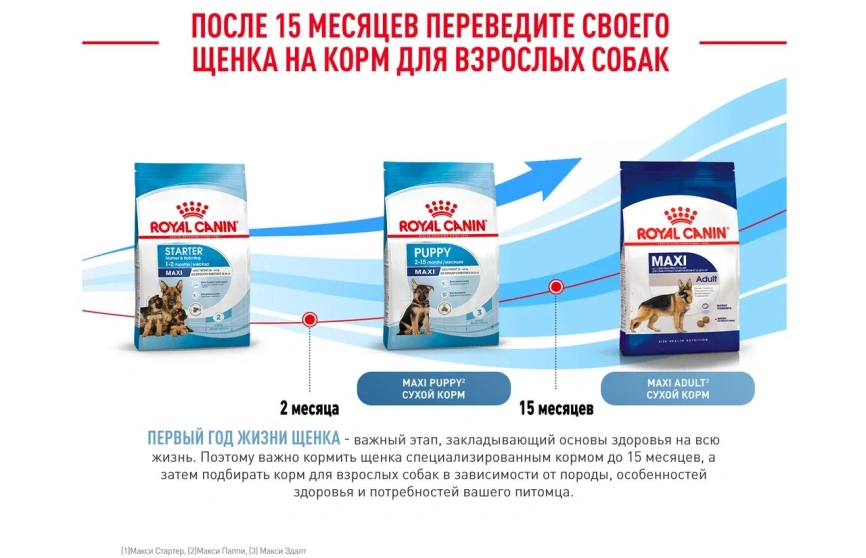 Сухой корм Royal Canin Maxi Starter Mother &amp; Babydog для собак, 4 кг фото 2
