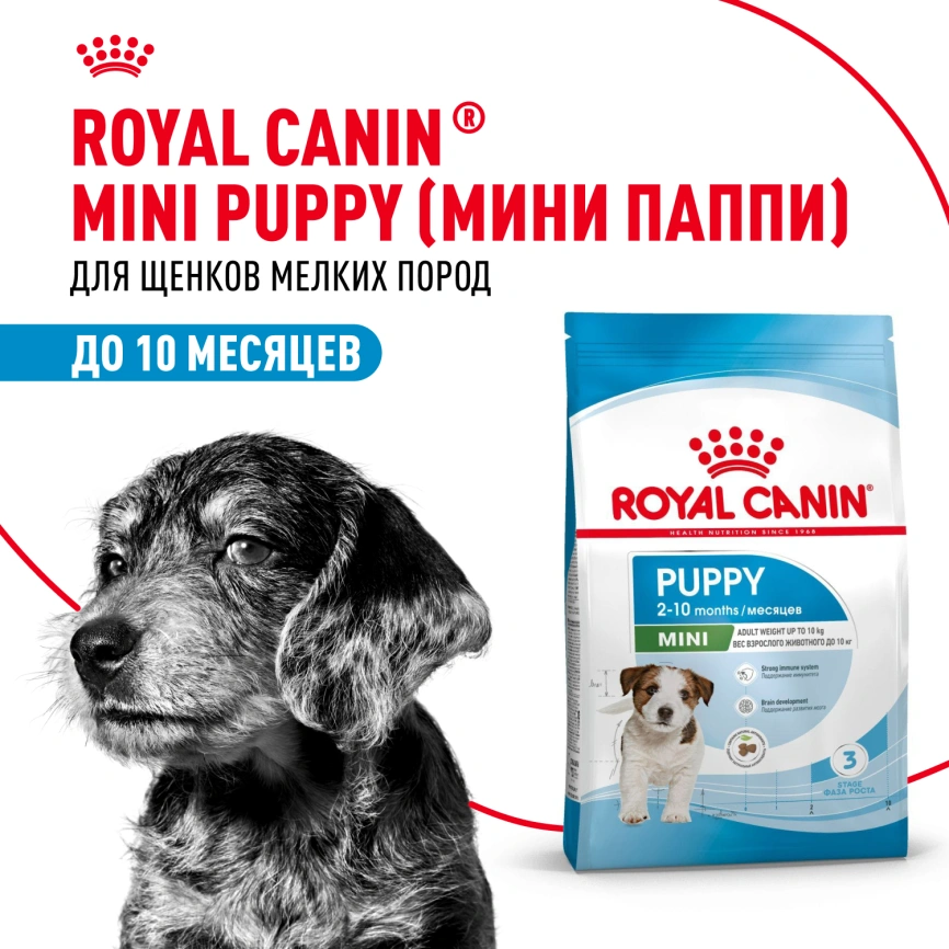 Сухой корм Royal Canin Mini Puppy для щенков, 2 кг фото 12