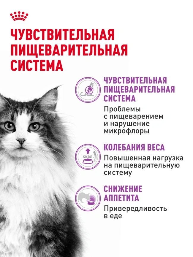 Сухой корм Royal Canin Sensible для кошек, 1.2 кг фото 18